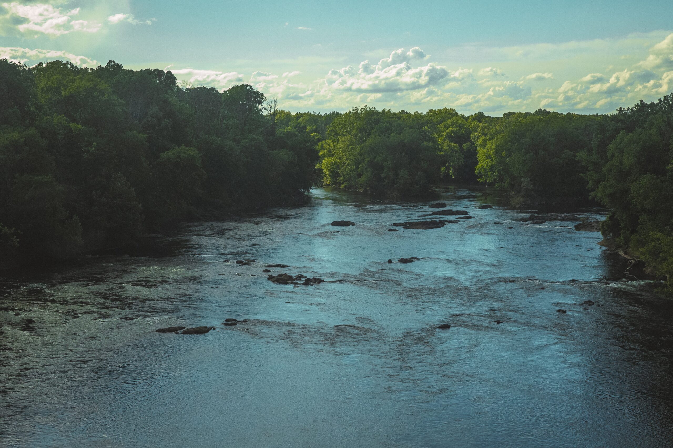 Image depicting a river flowing between trees and shoreline. 